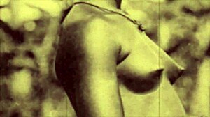 다크 랜턴 엔터테인먼트는 빈티지 여성과 그들의 자연스러운 가슴에 대한 흑인 남성의 비밀 사랑을 소개합니다